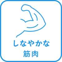 しなやかな筋肉