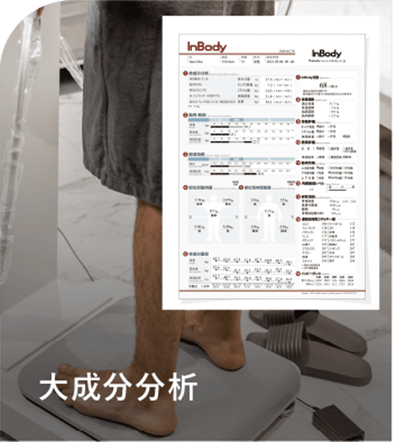 体成分分析